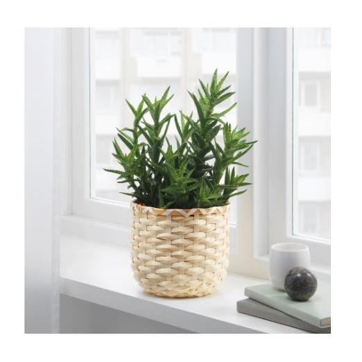 Ikea イケア 鉢カバー 竹 15cm N プランター 植木鉢カバー Kaffebona カフェボーナ N 株式会社 クレール 通販 Yahoo ショッピング