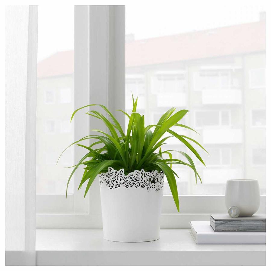 Ikea イケア 鉢カバー 12cm ホワイト 白 Z プランター 植木鉢カバー Samverka サムヴェルカ Z 株式会社 クレール 通販 Yahoo ショッピング