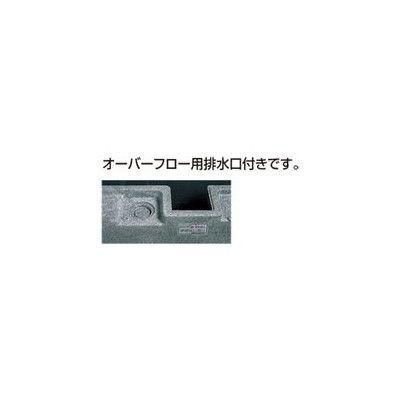 リフォーム用品】 タキロン 研ぎ出し流しデラックスタイプ 550−D