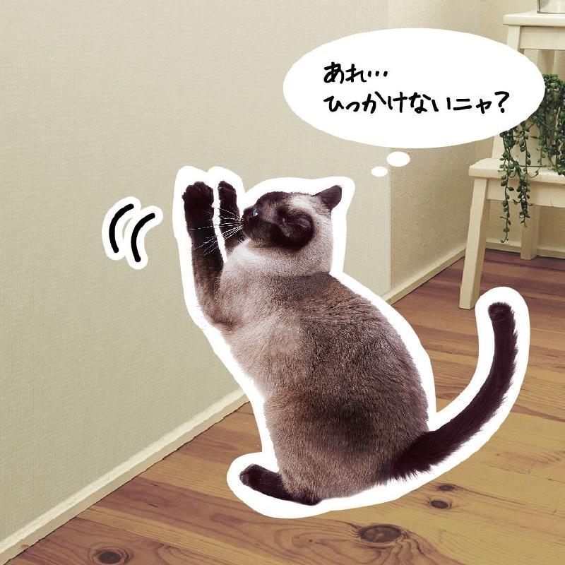 明和　つめキズ保護シート　Ｓ, ＮＴＳー０１　クリア, 477-0111 | 