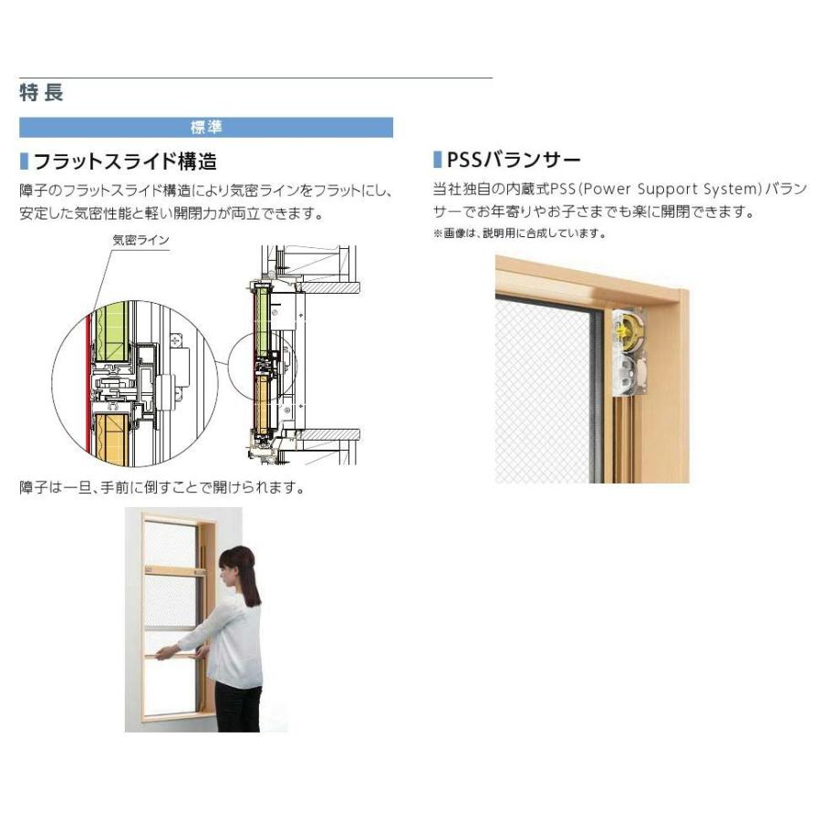 防火戸FGH 上げ下げ窓FS LowE複層ガラス(網入り) / アルミスペーサー仕様 06009 W：640mm × H：970mm