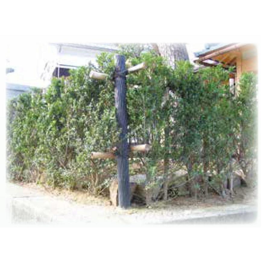 樹脂製 擬木杭 φ55 × 900ｍｍ 12本入り G-5509DB-■ / G-5509BE-■ 大研化成工業 |  | 05