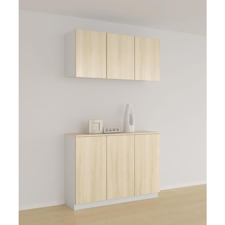 LIXIL（リクシル） 玄関収納 ラシッサDキナリモダン カウンター型 / 台