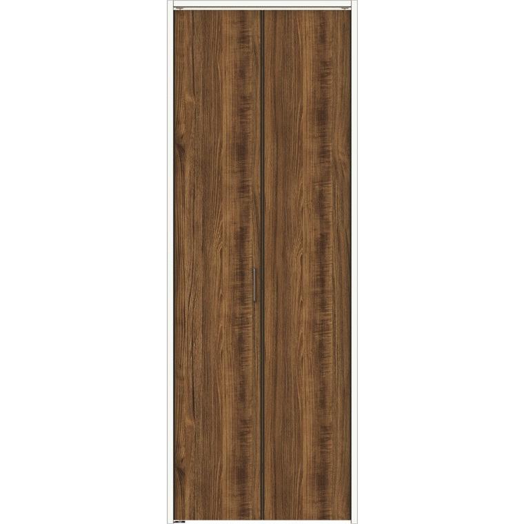 12.【現品 根付き】雷童錦とブロンズ姫6㌢鉢 多肉 観葉植物