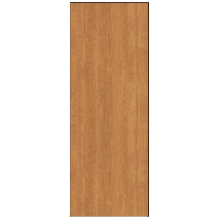 LIXIL（リクシル） ラシッサS 標準ドア ドア本体のみ デザイン：LAA