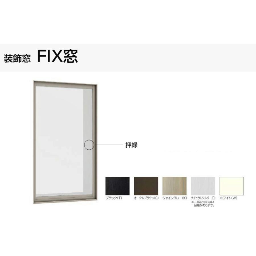 デュオSG 単板ガラス FIX窓 単体 サッシ 呼称 06011 W：640mm × H：1170mm LIXIL リクシル TOSTEM