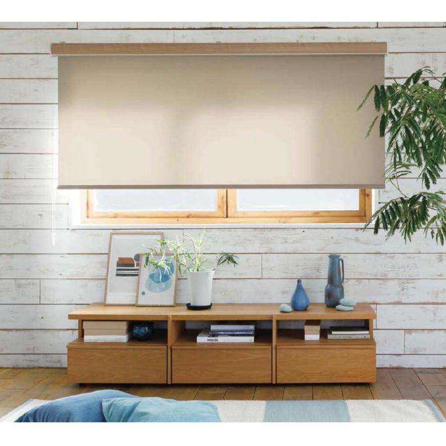 ELGIN WILD WING 掛時計