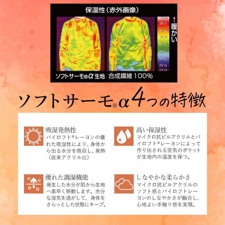 【送料無料/日本製/再入荷】 発熱保温タートルネックチュニック 6色 M-LL 洗える 長袖 レディース トップス チュニック カットソー ラグラン袖 発熱 保温 防寒 |  | 06