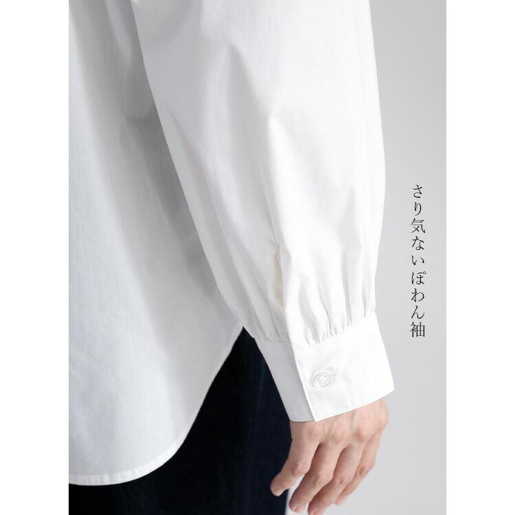 【送料無料】ストレッチブラウス M-LL 洗える 長袖 レディース トップス シャツ ブラウス 白シャツ フォーマル ビジネス 仕事 オフィス 式典 カラーシャツ |  | 06