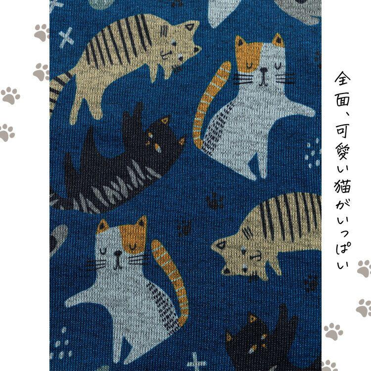 【送料無料/再入荷】 ネコ柄裏起毛ワンピース 3色 M-L 洗える 長袖 丸首 レディース トップス ワンピース 猫 裏起毛 クルーネック 体型カバー 伸縮性 |  | 02