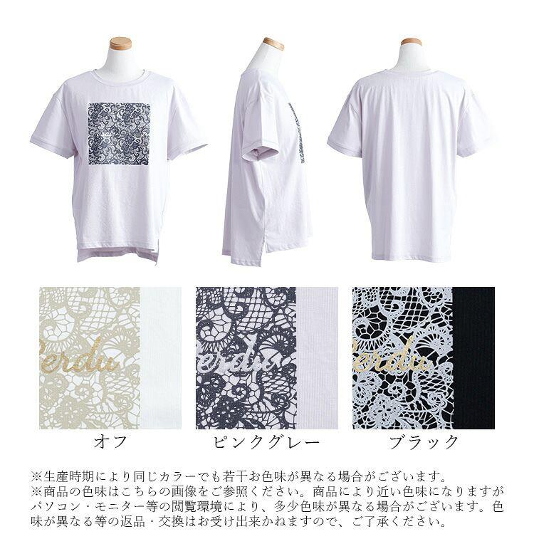 【送料無料/再入荷】ラメプリントTシャツ 3色 M-L 洗える 半袖 レディース トップス カットソー Tシャツ クルーネック ラウンドネック 体型カバー 綿混 ロゴT |  | 20
