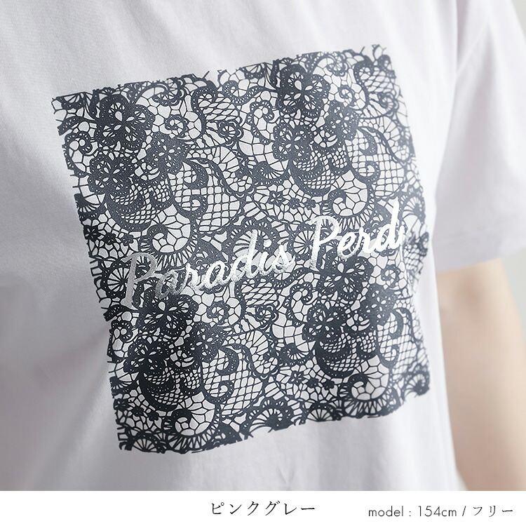 【送料無料/再入荷】 ラメプリントTシャツ 3色 M-L 洗える 半袖 レディース トップス カットソー Tシャツ クルーネック ラウンドネック 体型カバー 綿 春夏 |  | 07