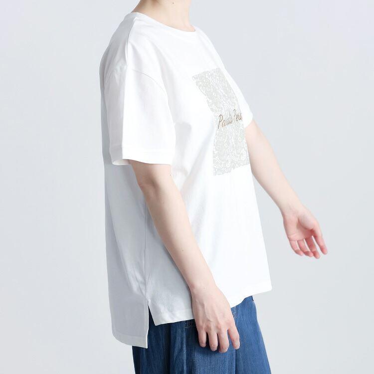 【送料無料/再入荷】ラメプリントTシャツ 3色 M-L 洗える 半袖 レディース トップス カットソー Tシャツ クルーネック ラウンドネック 体型カバー 綿混 ロゴT |  | 10