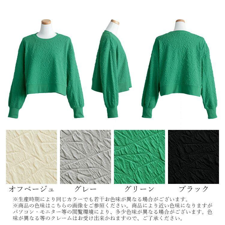 【送料無料】 フクレジャカードプルオーバー 4色 M-L 洗える 長袖 レディース トップス カットソー プルオーバー クルーネック ジャカード 端境期 春秋 |  | 17