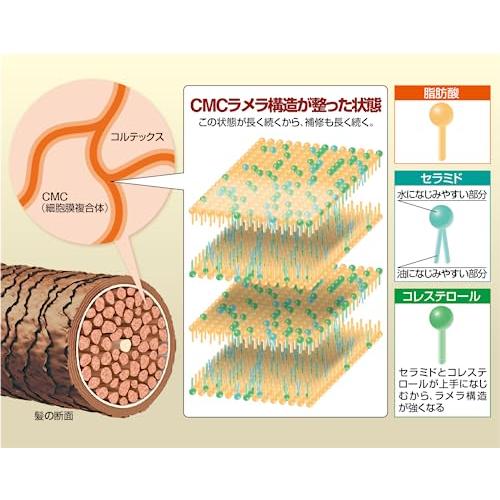 ReKERA(リケラ) エマルジョン 200mL リトル・サイエンティスト