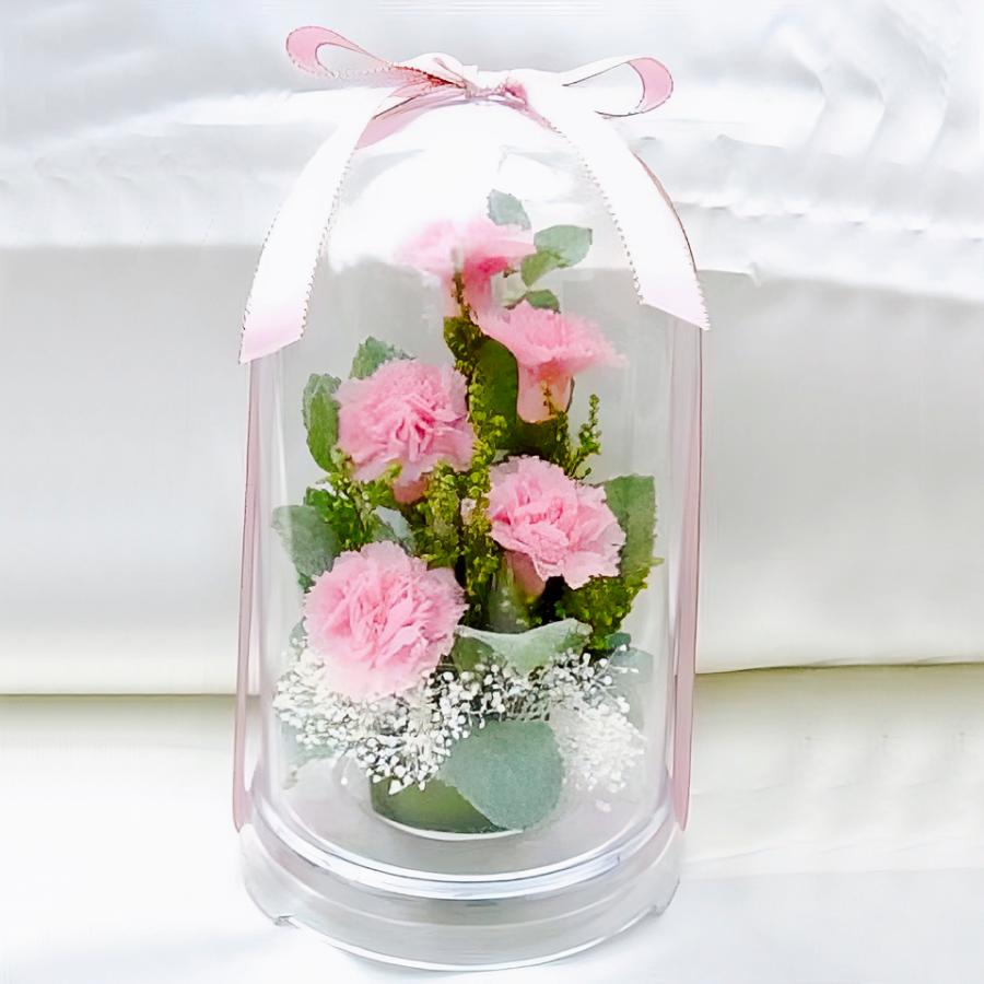 プリザーブドフラワー 送料無料 お祝い 誕生日 枯れない花 フラワードーム入 大きめ Lサイズ カーネーション プレゼント インテリア 造花 ギフト | ブランド登録なし | 01