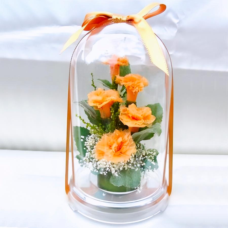 プリザーブドフラワー 送料無料 お祝い 誕生日 枯れない花 フラワードーム入 大きめ Lサイズ カーネーション プレゼント インテリア 造花 ギフト | ブランド登録なし | 02