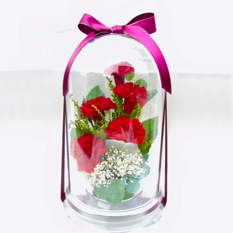 プリザーブドフラワー 送料無料 お祝い 誕生日 枯れない花 フラワードーム入 大きめ Lサイズ カーネーション プレゼント インテリア 造花 ギフト | ブランド登録なし | 03