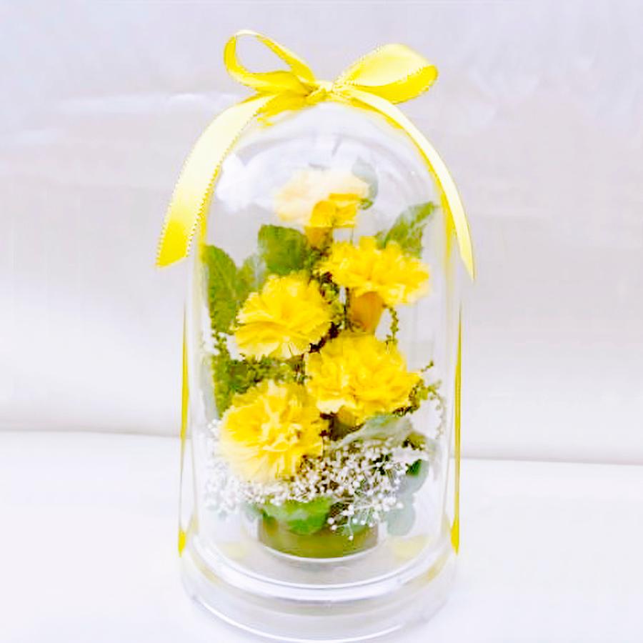 プリザーブドフラワー 送料無料 お祝い 誕生日 枯れない花 フラワードーム入 大きめ Lサイズ カーネーション プレゼント インテリア 造花 ギフト | ブランド登録なし | 04