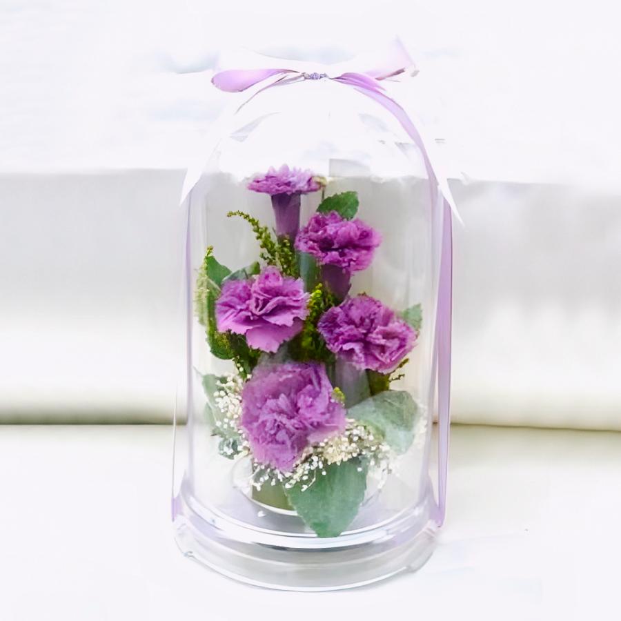 プリザーブドフラワー 送料無料 お祝い 誕生日 枯れない花 フラワードーム入 大きめ Lサイズ カーネーション プレゼント インテリア 造花 ギフト | ブランド登録なし | 05