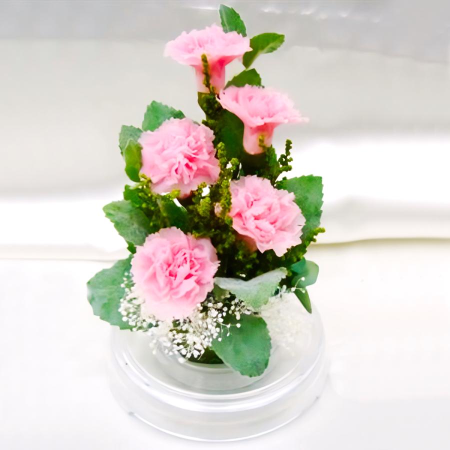 プリザーブドフラワー 送料無料 お祝い 誕生日 枯れない花 フラワードーム入 大きめ Lサイズ カーネーション プレゼント インテリア 造花 ギフト | ブランド登録なし | 07