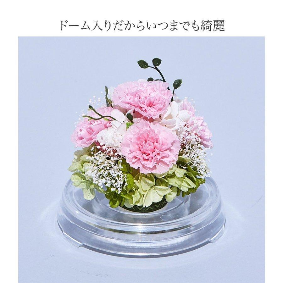 プリザーブドフラワー 花材(No.21)　カーネーション　14個 プリザーブドフラワー 花材(No.21) カーネーション 14個 プリザーブド