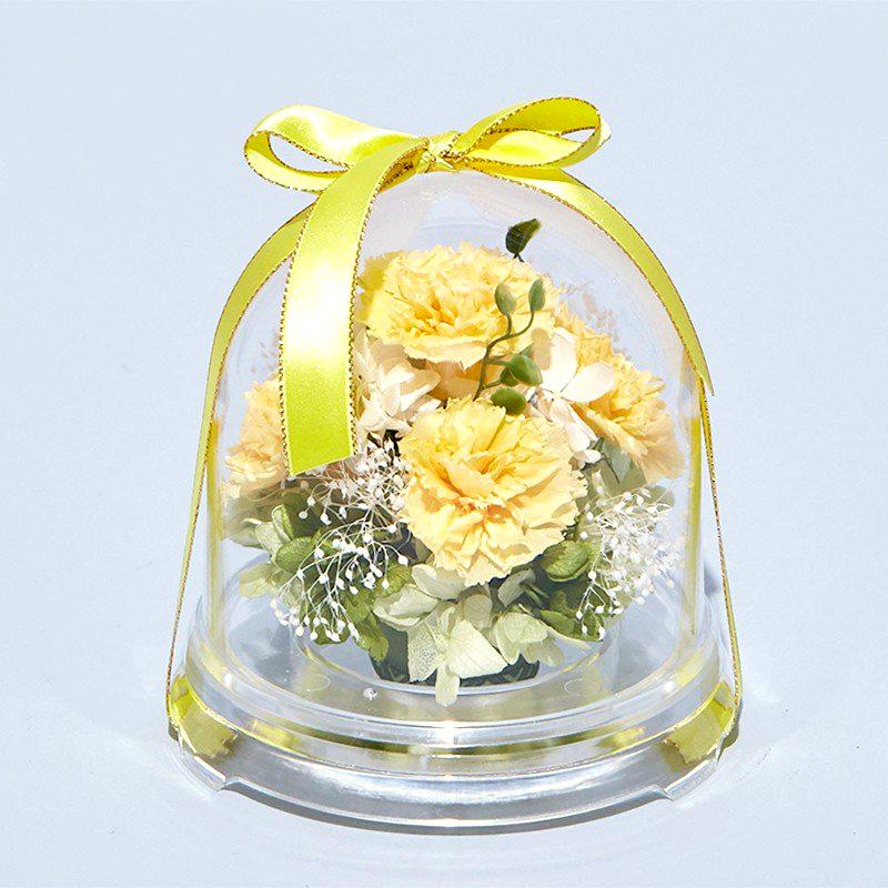 プリザーブドフラワー 送料無料 お祝い 誕生日 枯れない花 カーネーション フラワードーム Mサイズ プレゼント インテリア 造花 ギフト | ブランド登録なし | 03