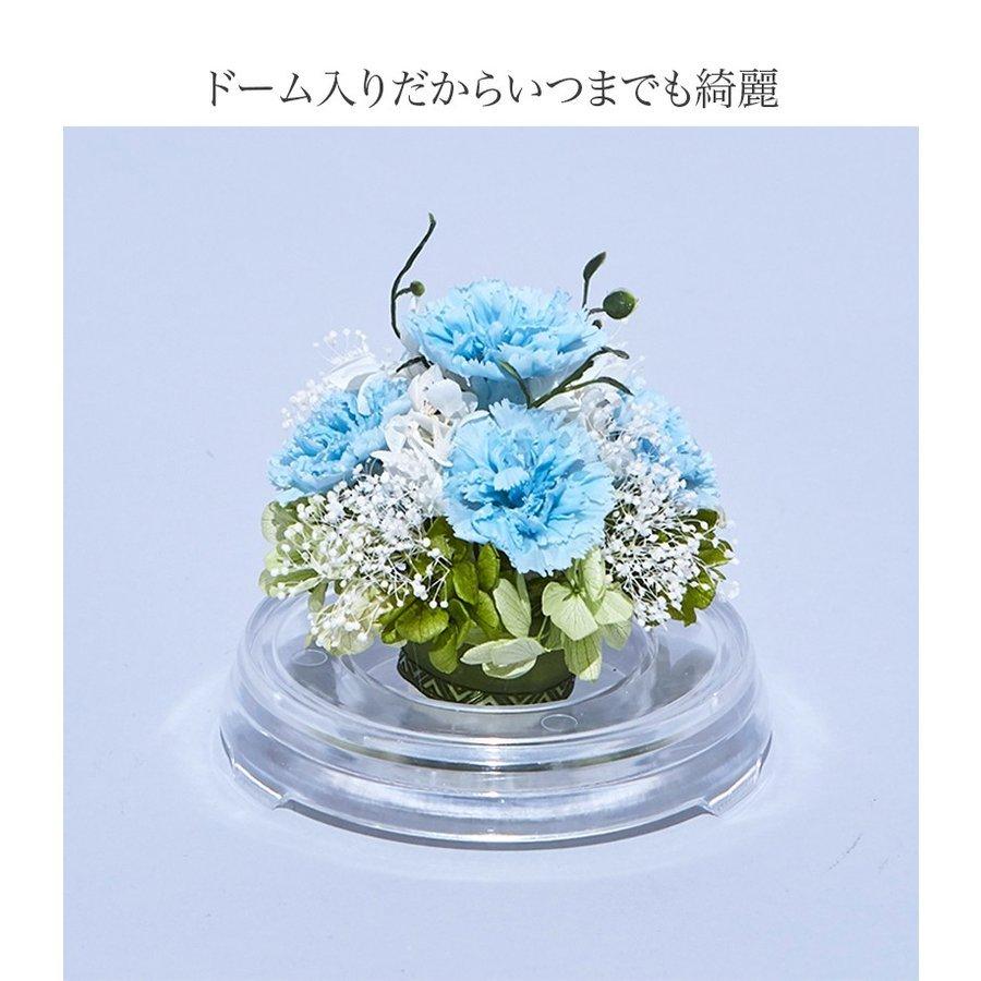 プリザーブドフラワー 送料無料 お祝い 誕生日 枯れない花 カーネーション フラワードーム Mサイズ プレゼント インテリア 造花 ギフト | ブランド登録なし | 10