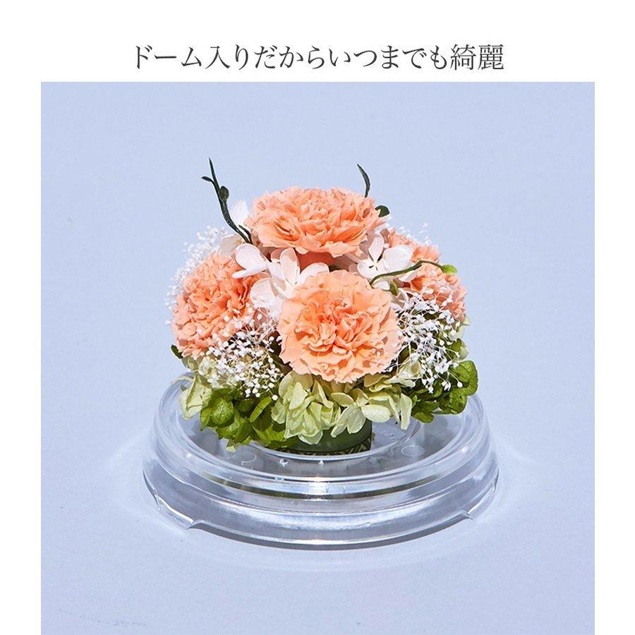 プリザーブドフラワー 送料無料 お祝い 誕生日 枯れない花 カーネーション フラワードーム Mサイズ プレゼント インテリア 造花 ギフト | ブランド登録なし | 11