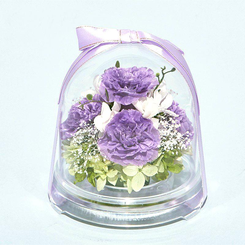 プリザーブドフラワー 送料無料 お祝い 誕生日 枯れない花 カーネーション フラワードーム Mサイズ プレゼント インテリア 造花 ギフト | ブランド登録なし | 06