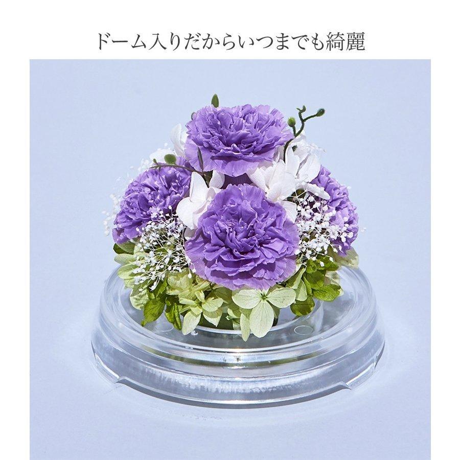 プリザーブドフラワー 送料無料 お祝い 誕生日 枯れない花 カーネーション フラワードーム Mサイズ プレゼント インテリア 造花 ギフト | ブランド登録なし | 12