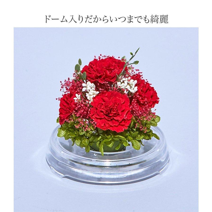 プリザーブドフラワー 送料無料 お祝い 誕生日 枯れない花 カーネーション フラワードーム Mサイズ プレゼント インテリア 造花 ギフト | ブランド登録なし | 07