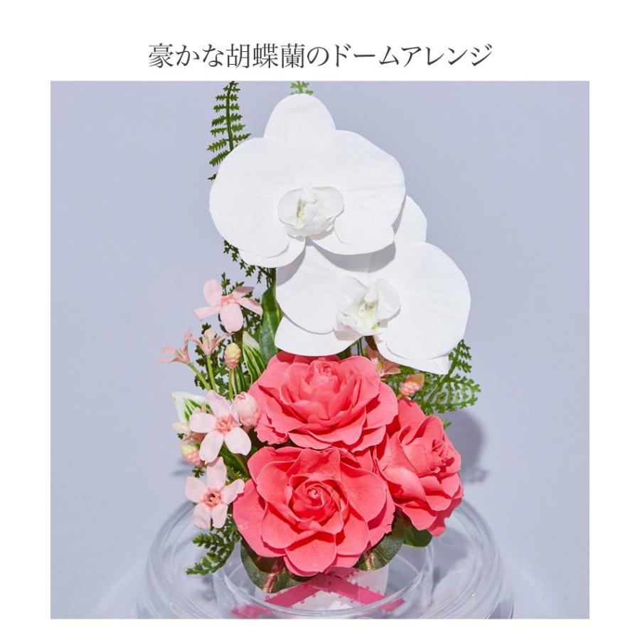 プリザーブドフラワー 送料無料 お祝い 誕生日 枯れない花 花飾り