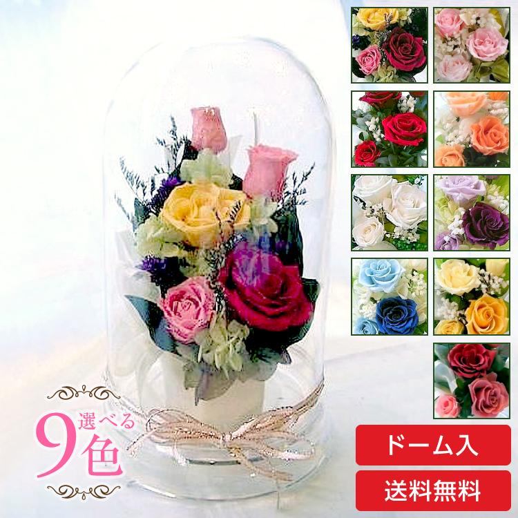 21新春福袋 ドーム入 萌 マルチカラーのバラのアレンジ プリザーブドフラワー Globescoffers Com