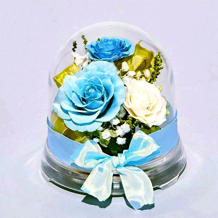 New ドーム入 芽 紫のバラのアレンジ プリザーブドフラワー Dome M Lilac06 プリザーブドフラワーギフトclaps 通販 Yahoo ショッピング