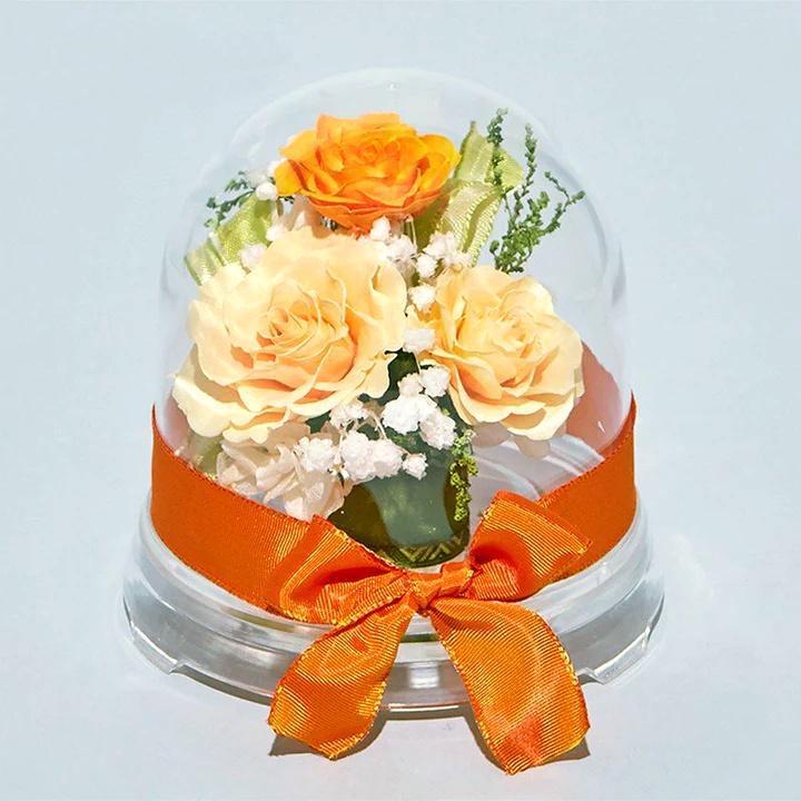 プリザーブドフラワー 送料無料 お祝い 誕生日 枯れない花 ドーム 芽 バラ プレゼント インテリア 造花 ギフト | ブランド登録なし | 06