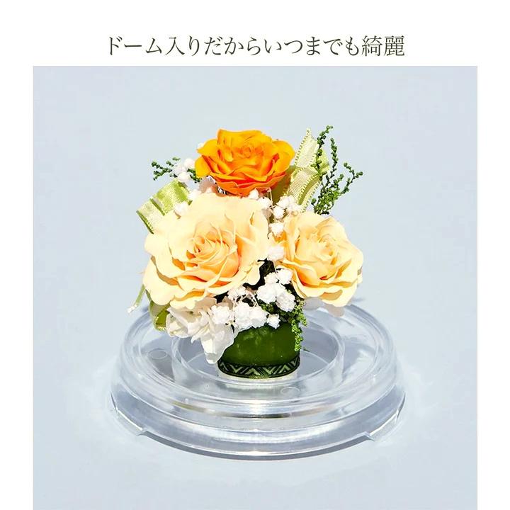 プリザーブドフラワー 送料無料 お祝い 誕生日 枯れない花 ドーム 芽 バラ プレゼント インテリア 造花 ギフト | ブランド登録なし | 15