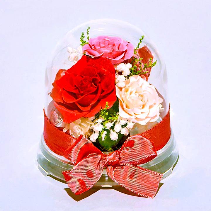 プリザーブドフラワー 送料無料 お祝い 誕生日 枯れない花 ドーム 芽 バラ プレゼント インテリア 造花 ギフト | ブランド登録なし | 08