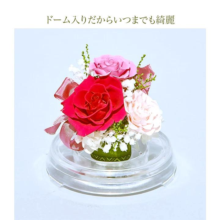 プリザーブドフラワー 送料無料 お祝い 誕生日 枯れない花 ドーム 芽 バラ プレゼント インテリア 造花 ギフト | ブランド登録なし | 17