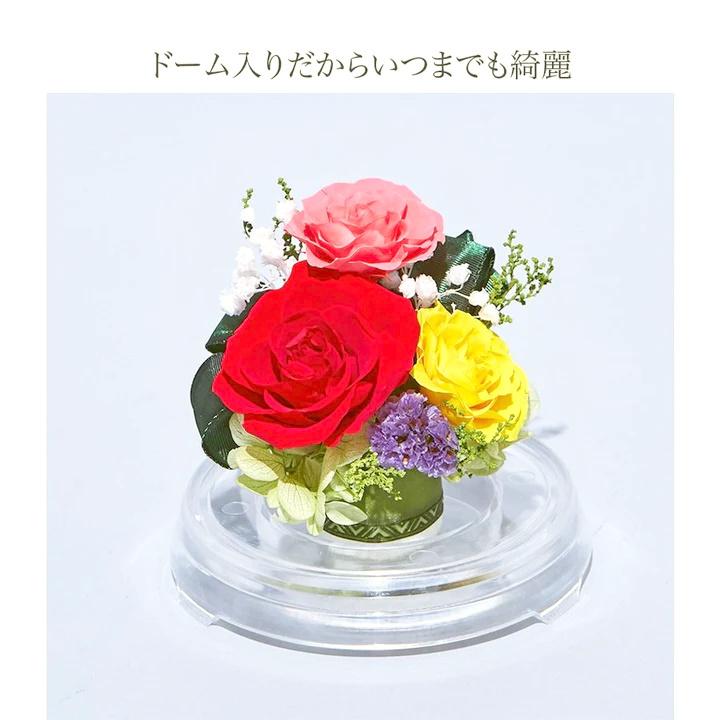 プリザーブドフラワー 送料無料 お祝い 誕生日 枯れない花 ドーム 芽 バラ プレゼント インテリア 造花 ギフト | ブランド登録なし | 18