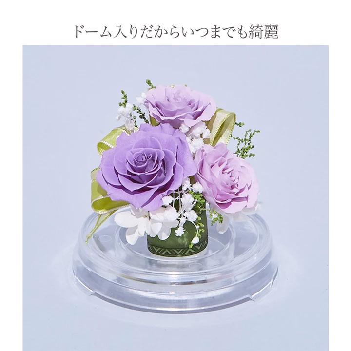 プリザーブドフラワー 送料無料 お祝い 誕生日 枯れない花 ドーム 芽 バラ プレゼント インテリア 造花 ギフト | ブランド登録なし | 13