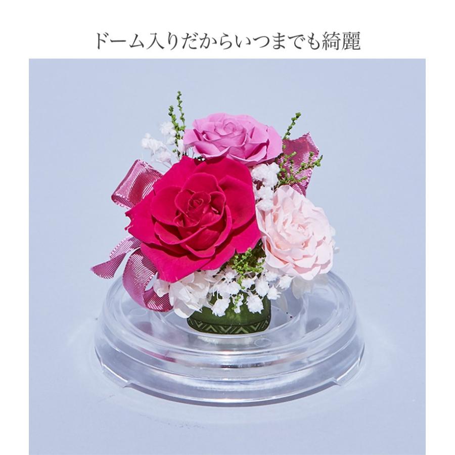 ドーム入 芽 ローズレッドのバラのアレンジ プリザーブドフラワー|claps|02