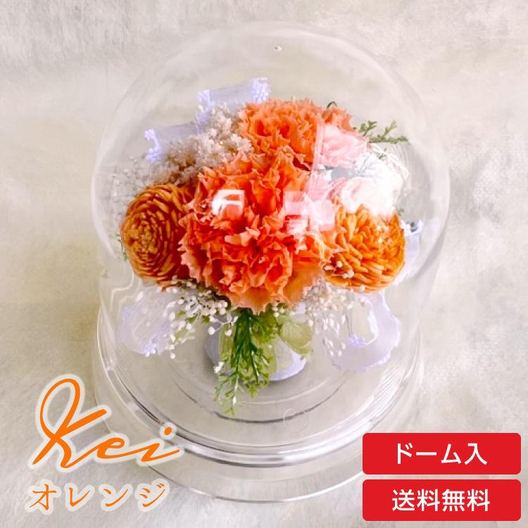 プリザーブドフラワー 送料無料 カーネーション 小花 花飾り フラワードーム だいだい色 プレゼント インテリア 造花 ギフト | ブランド登録なし | 01