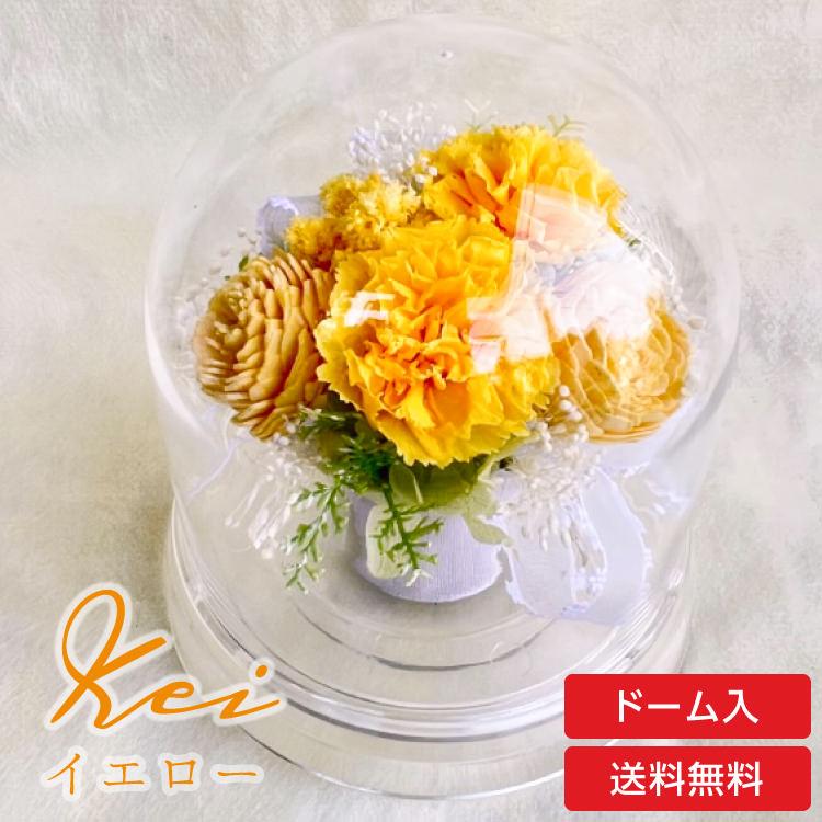 プリザーブドフラワー 送料無料 カーネーション 小花 花飾り フラワードーム だいだい色 プレゼント インテリア 造花 ギフト | ブランド登録なし | 02