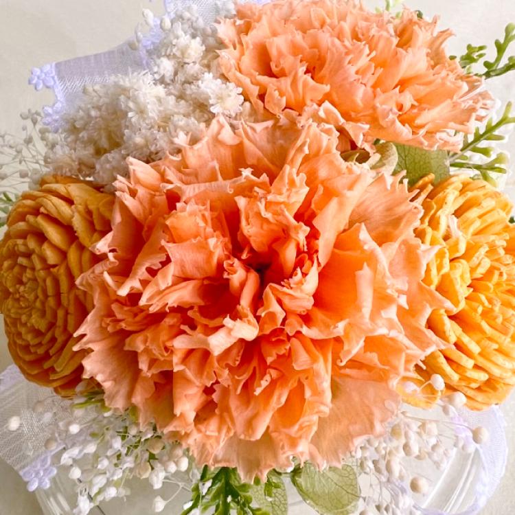 プリザーブドフラワー 送料無料 カーネーション 小花 花飾り フラワードーム だいだい色 プレゼント インテリア 造花 ギフト | ブランド登録なし | 10