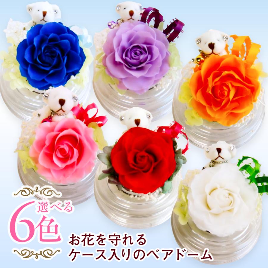 プリザーブドフラワー 送料無料 お祝い 誕生日 枯れない花 クマ くま
