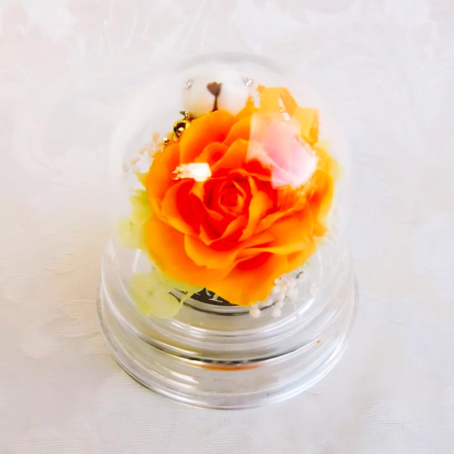 プリザーブドフラワー 送料無料 お祝い 誕生日 枯れない花 クマ くま