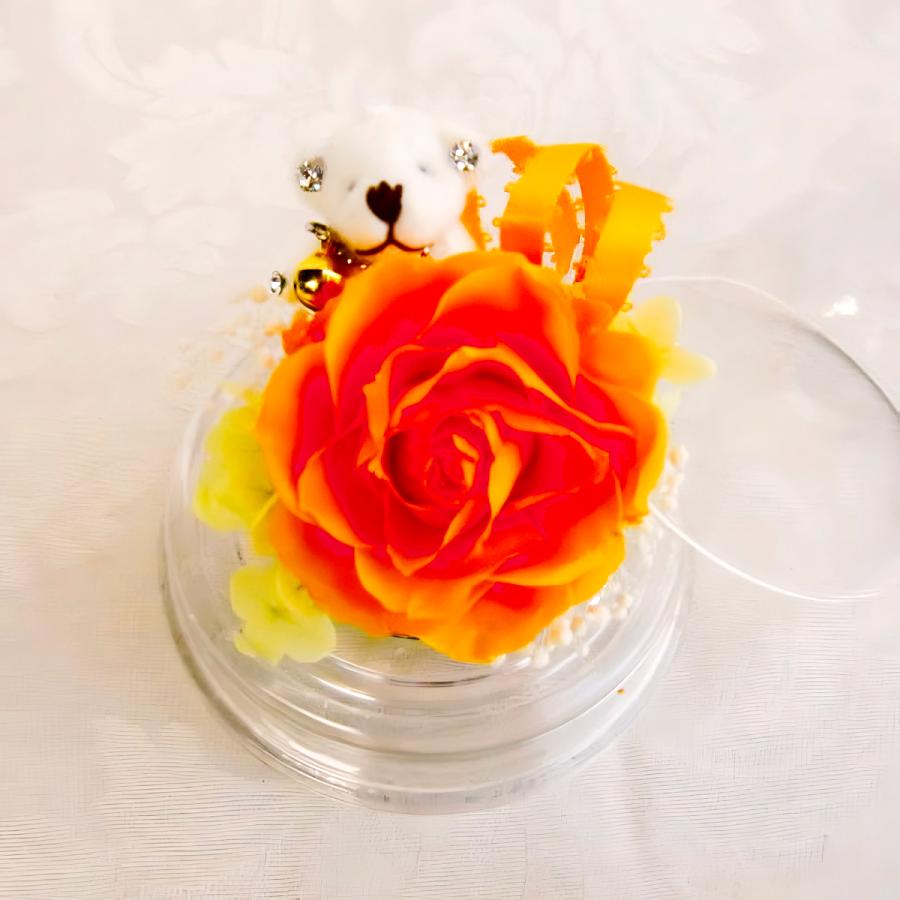 プリザーブドフラワー 送料無料 お祝い 誕生日 枯れない花 クマ くま