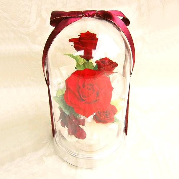 プリザーブドフラワー 送料無料 お祝い 誕生日 枯れない花 ドーム入り