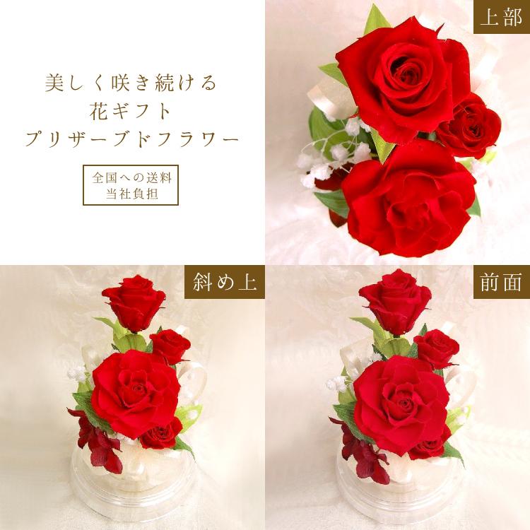 プリザーブドフラワー 送料無料 お祝い 誕生日 枯れない花 ドーム入り